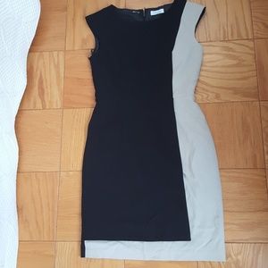 Calvin Klein Career Dress